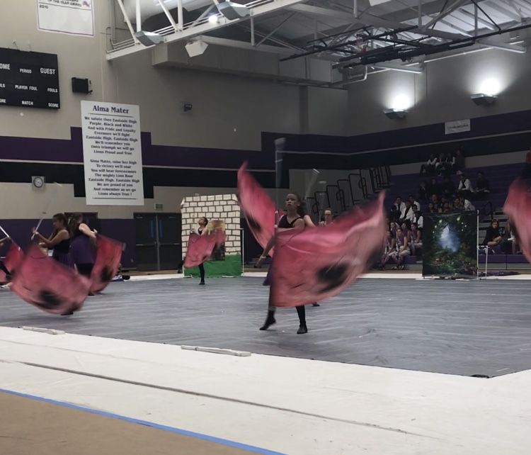 Quartz Hill High School Color Guard