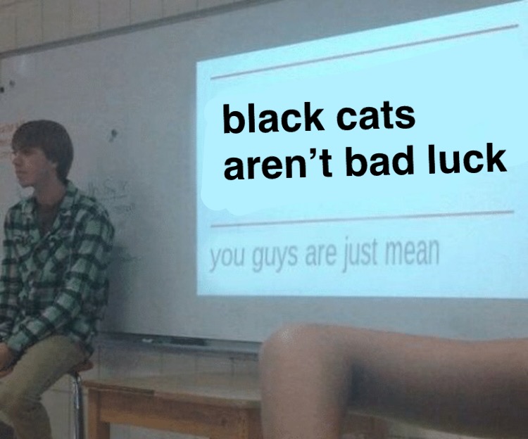 Black Cats Arent Bad Luck