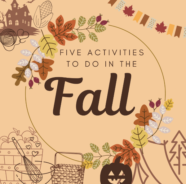 Five Activities to do during Fall