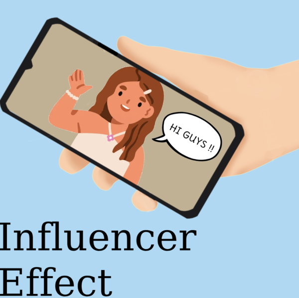 Authenticity of Influencer-Branded Products