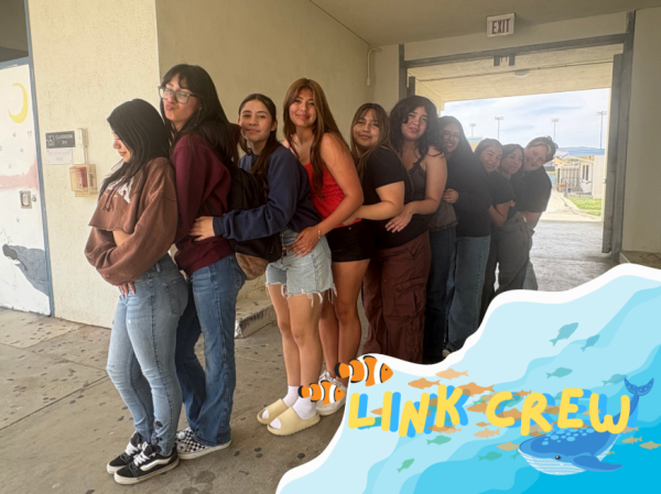 A Look at Linkcrew