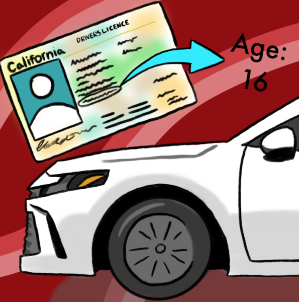Suspiciously Young People Driving on Our Roads: Should They Be Allowed?