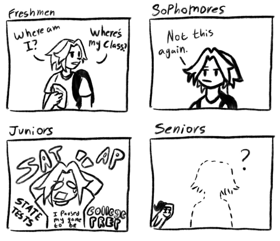 The Evolution of a High Schooler